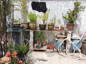 10709812_10152718227506506_1578658038_o